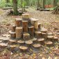 Speelbos