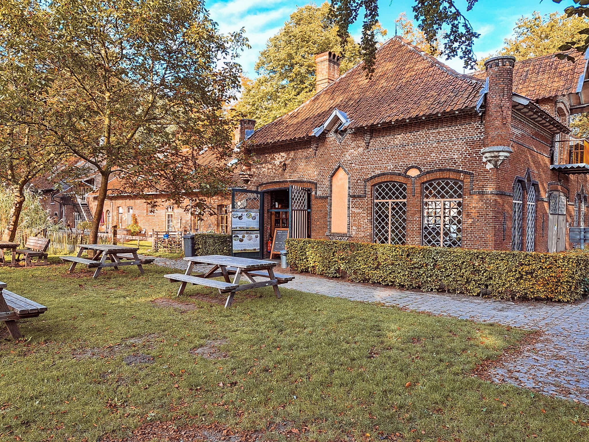 Femail athlete squinting towards the camera.